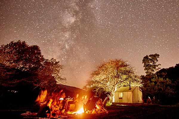 Campers around a campfire under a clear star-filled sky