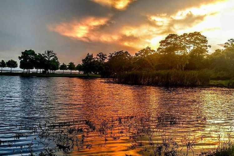 The Best Ways to Enjoy Fontainebleau State Park