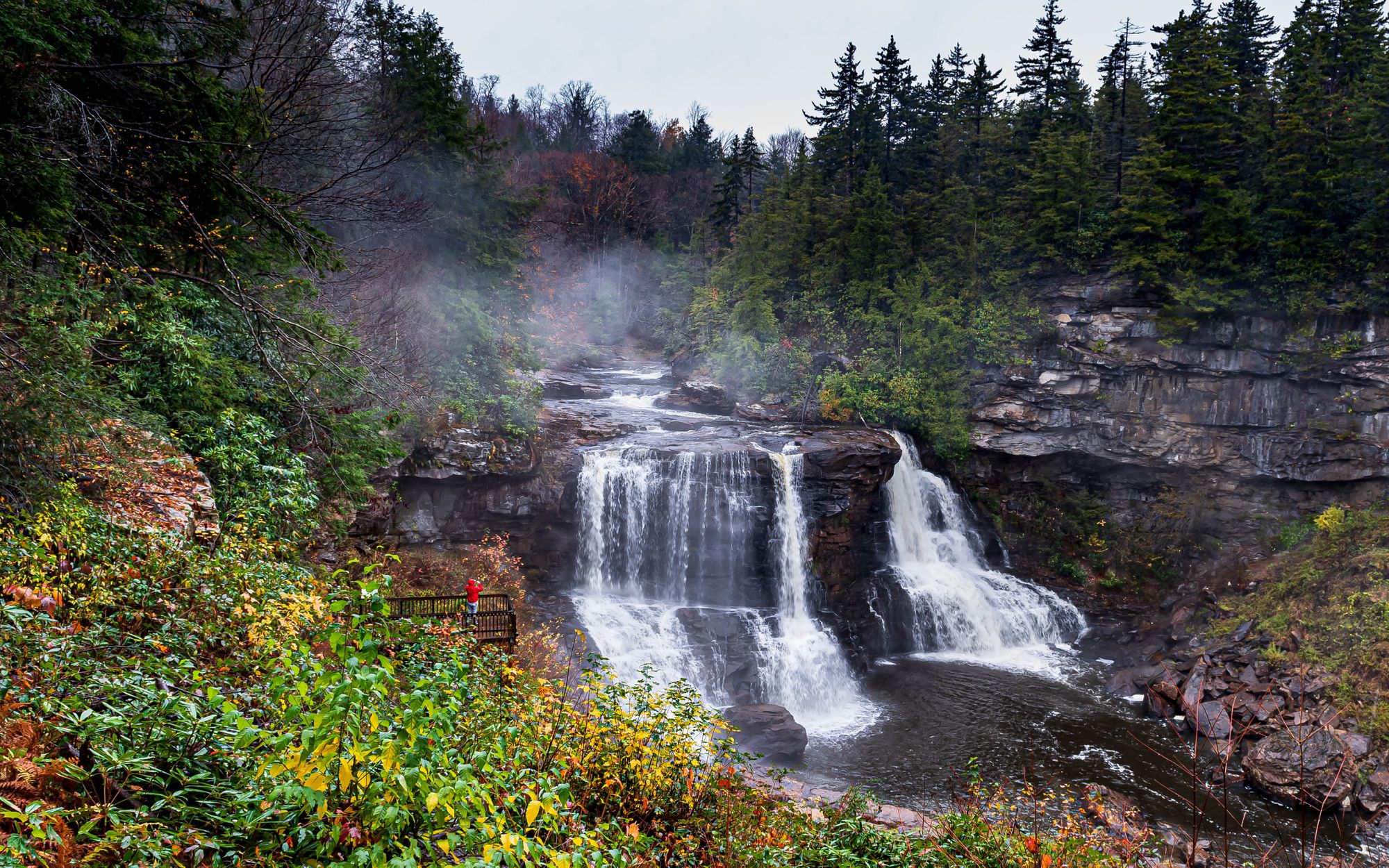 Best Hikes in Blackwater Falls State Park